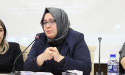 Kastamonu'da 'Eşit haklar eşit fırsatlar: Kadınların kariyer yolculuğu' paneli düzenlendi