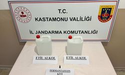 Kastamonu'da ruhsatsız silah ve sahte içki operasyonlarında 3 zanlı gözaltına alındı