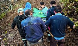 Kastamonu'da tomruk altında kalan orman işçisi yaralandı