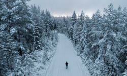 Kastamonu'nun yüksek kesimleri kar yağışının ardından beyaza büründü