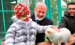 Kayseri Kocasinan'dan can dostlara sıkı takip