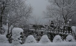 Kocaeli, Karabük ve Bolu'da kar yağışı etkili oluyor
