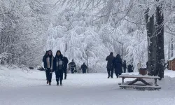 Kocaeli Ormanya, 2025'te de doldu taştı