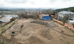 Köyüne dönüp başladığı kaz yetiştiriciliğinde 5 yılda 600 hayvana ulaştı