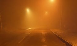 Laçin'de sis etkili oldu