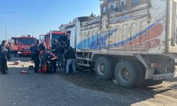 Ordu'da kamyon ile tırın çarpıştığı kazada 1 kişi yaralandı