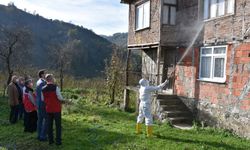 Ordu'da kokarca ile mücadele kapsamında 50 bin kışlak ilaçlandı