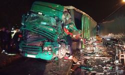 Rize'de tırın kırmızı ışıkta bekleyen tıra çarptığı kazada 1 kişi yaralandı