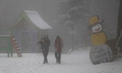 Sakarya, Kocaeli, Düzce, Bolu ve Zonguldak'ta kar yağışı etkili oldu