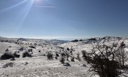 Samsun'da kar altındaki ormanlar dronla görüntülendi