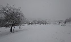 Samsun'un Asarcık ilçesine mevsimin ilk karı düştü