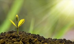 YEREL YÖNETİMLERE ÇEVRE DESTEĞİ