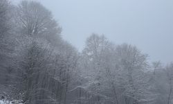 Tokat'ın yüksek kesimleri beyaza büründü