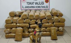 Tokat'ta 485 kilogram kaçak tütün ele geçirildi