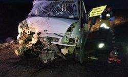 Tokat'ta kamyonet ile traktörün çarpıştığı kazada 2 kişi yaralandı