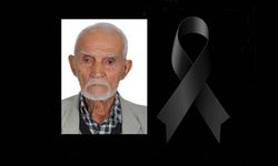 UÇAR HAYATINI KAYBETTİ