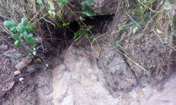 HATLAR AÇIK TUTULUYOR...