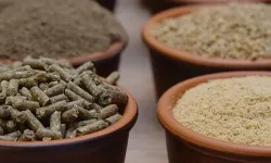 O YÖNETMELİK 'RESMİ'LEŞTİ...