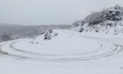 Yeşilyurt'ta kar yağışı etkili oldu