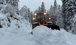 Zirvede karla mücadele, düşük rakımlı köy yollarında asfalt çalışması