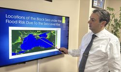 Zonguldak'ta yapılan uydu çalışmasında Karadeniz'in seviyesinin yükseldiği tespit edildi