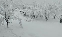 133 KÖYE ULAŞIM YOK