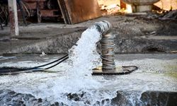 TELEF OLAN TAVUKLARLA MESAFE 6 KİLOMETRE