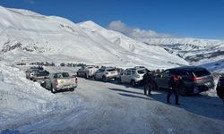Artvin'de çığ altında kalan çobanı arama çalışmalarına yeniden başlandı