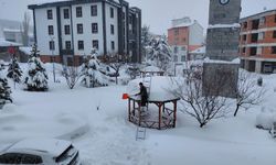 Başçiftlik'te karla mücadele her alanda sürüyor