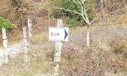 ZONGULDAK'TAN BİR KÖY DE SIRALAMADA