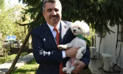 Bursa Yıldırım can dostlarak 2025'te de sıcak yuva oldu