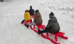 Çocuk Evleri Sitesinde kalan çocuklar Ilgaz Dağı'nda eğlendi