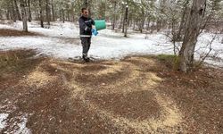 Çorum'da yaban hayvanları için doğaya yem bırakıldı