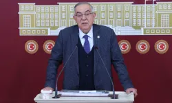 DP'li Altıntaş: Kapanan köy okullarının arazileri satılıyor