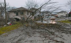 Düzce ve Kocaeli'de şiddetli rüzgar bazı binaların çatısını uçurdu, ağaçları devirdi