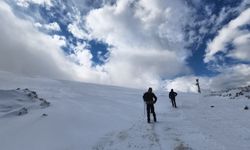 Düzce'de Kardüz Yaylası'nda Sarıkamış Şehitleri Anma Yürüyüşü yapıldı