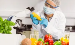 Gıda katkı maddelerine yeni düzenleme... İşletmelere 1 Mart'a kadar uyum süresi