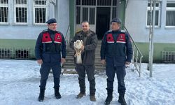 Giresun'da yaralı bulunan kızıl şahin tedavi altına alındı