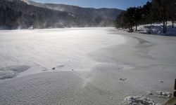Gölcük Tabiat Parkı'ndaki gölün yüzeyi buzla kaplandı