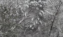 Gümüşhane'de devrilen ambulanstaki 3 sağlık personeli yaralandı