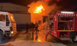 GÜNCELLEME - Düzce'de strafor fabrikasında çıkan yangına müdahale ediliyor