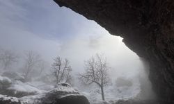 Hakkari'de soğuk hava ve sis etkili oldu