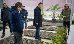 İzmir Bornova kendi yeşilini kendi üretiyor