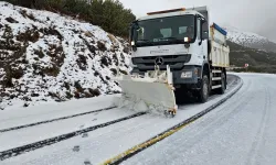 İzmir'in 6 ilçesinde karla mücadele