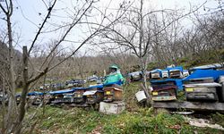 Kadın arıcı ata mesleğini 45 yıldır sürdürüyor