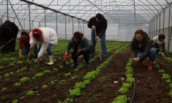 Kadın ve gençler tarıma kazandırılıyor