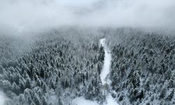 Karabük, Kocaeli ve Zonguldak'ta kar yağışı etkili oluyor