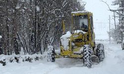 Karabük'te kar nedeniyle kapanan 144 köy yolunun 29'u açıldı