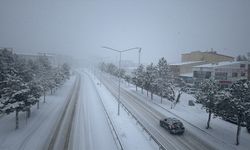 Karadeniz'deki 4 ilde kar nedeniyle 800 köy yolu ulaşıma kapandı