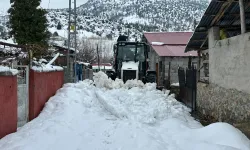 Malatya Doğanşehir'de kar seferberliği